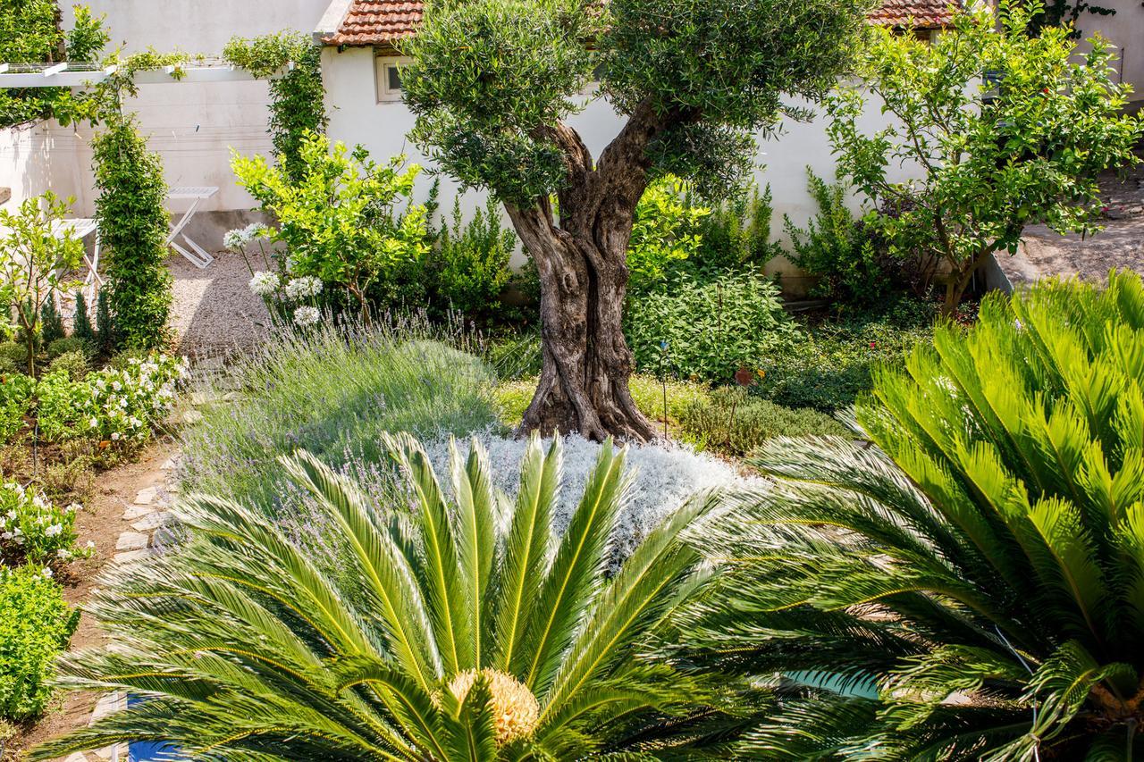 Reggine Holiday Apartments Sant’Agnello Kültér fotó