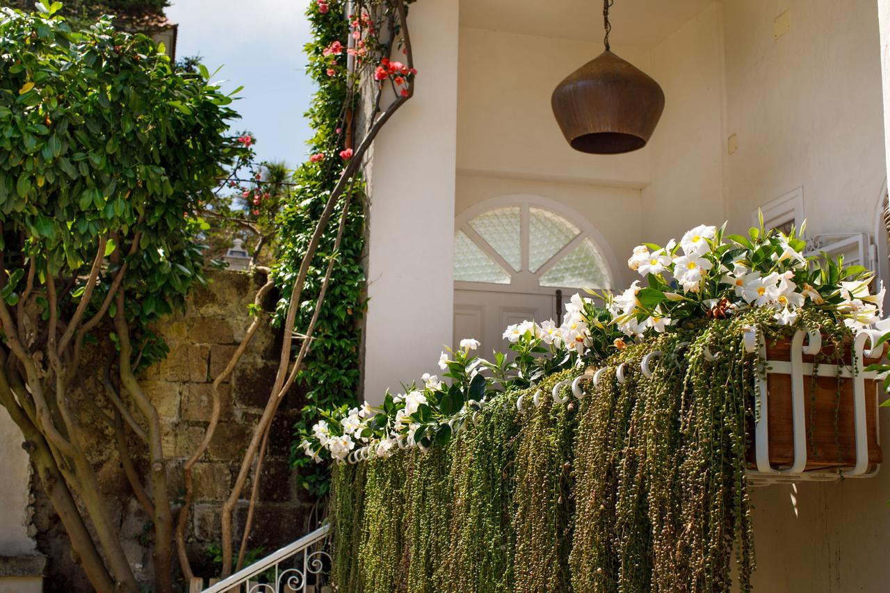 Reggine Holiday Apartments Sant’Agnello Kültér fotó