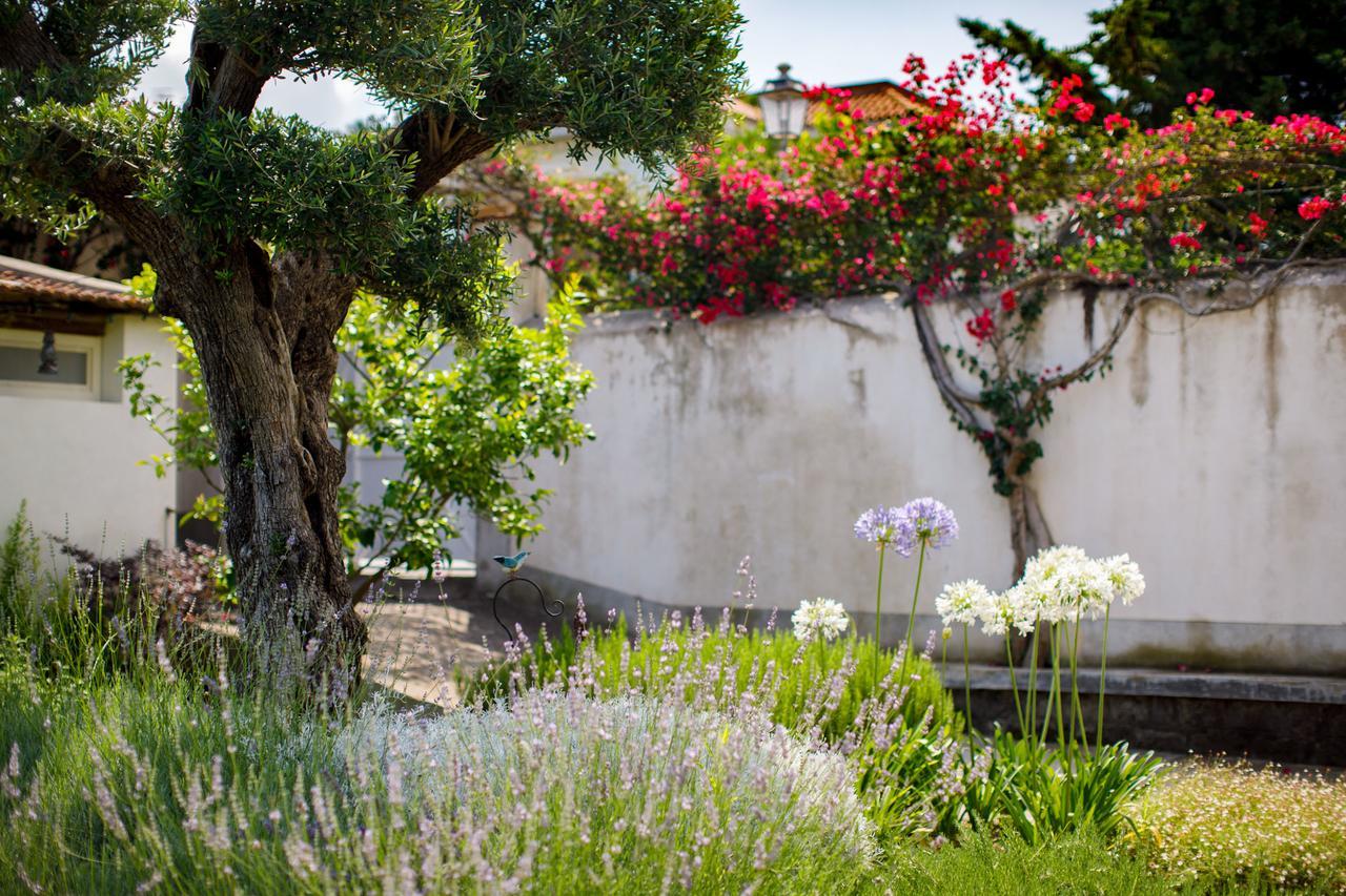 Reggine Holiday Apartments Sant’Agnello Kültér fotó